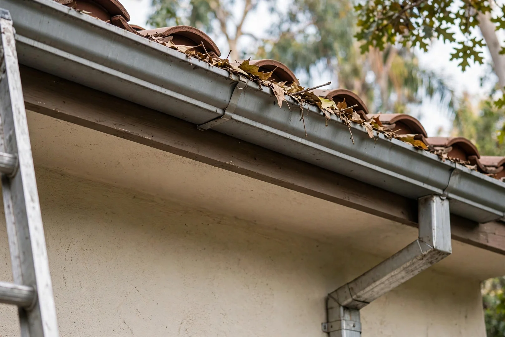 Gutter and downspout condition check along the fascia of a residential property